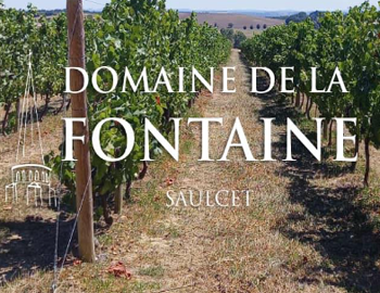 Domaine de la fontaine - Fabien Malavaud